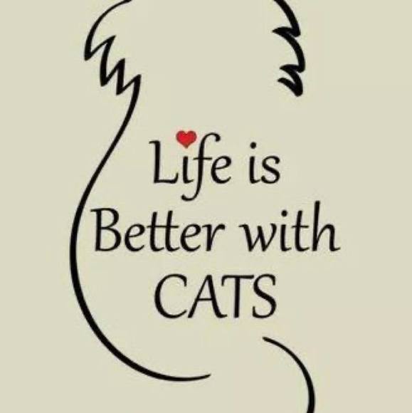 Meet your Posher, Joe n tracy - Picture 1 of 1